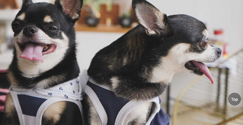 スクリーンショット 2025-12-02 152526