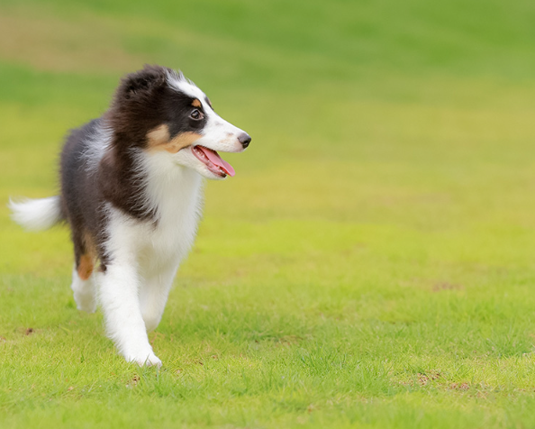 スクリーンショット 2025-12-02 165647